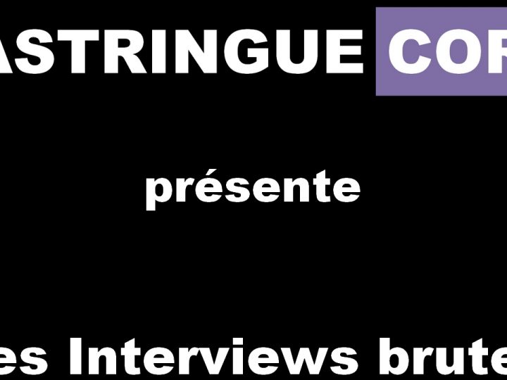 Les Interviews brutes de Sylvain : Saison 1