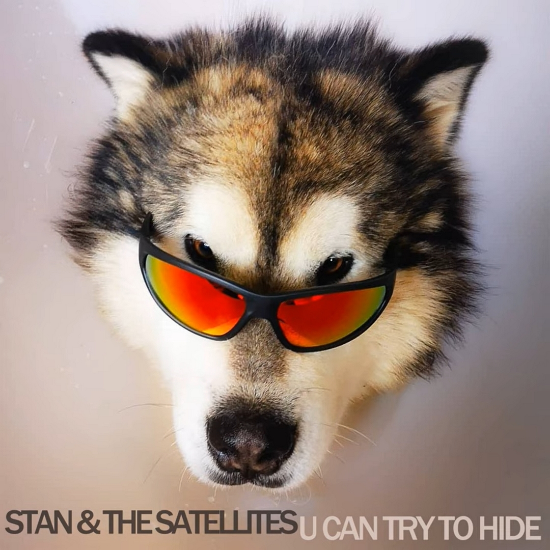 Stan and the Satellites – U can try to hide
