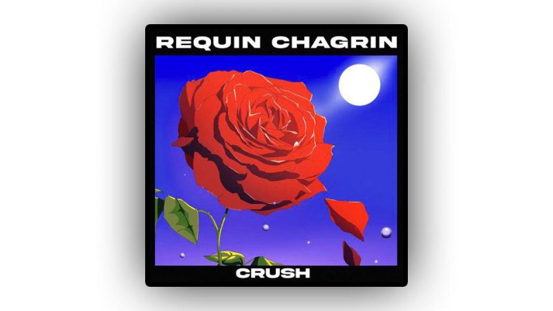 Clip : Requin Chagrin – Crush ft. Anaïs Demoustier