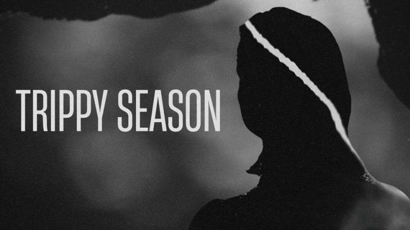 PALES : Trippy Season [CLIP]