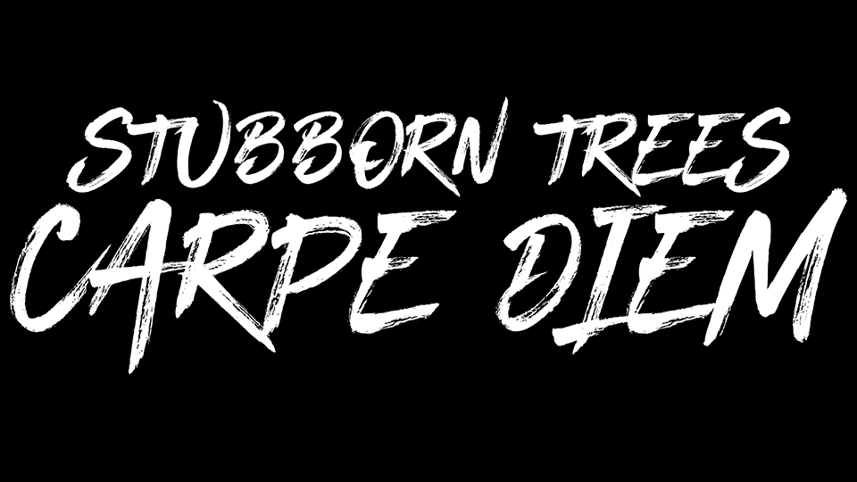Stubborn Trees : Carpe Diem [CLIP]