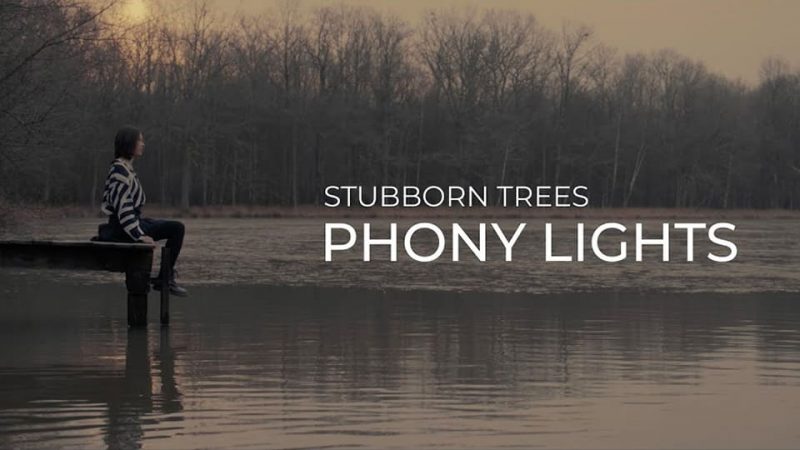 Stubborn Trees : Phony Lights [CLIP]