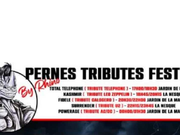 Quand Rhinoférock rend hommage aux artistes : Pernes Tributes Festival 2024