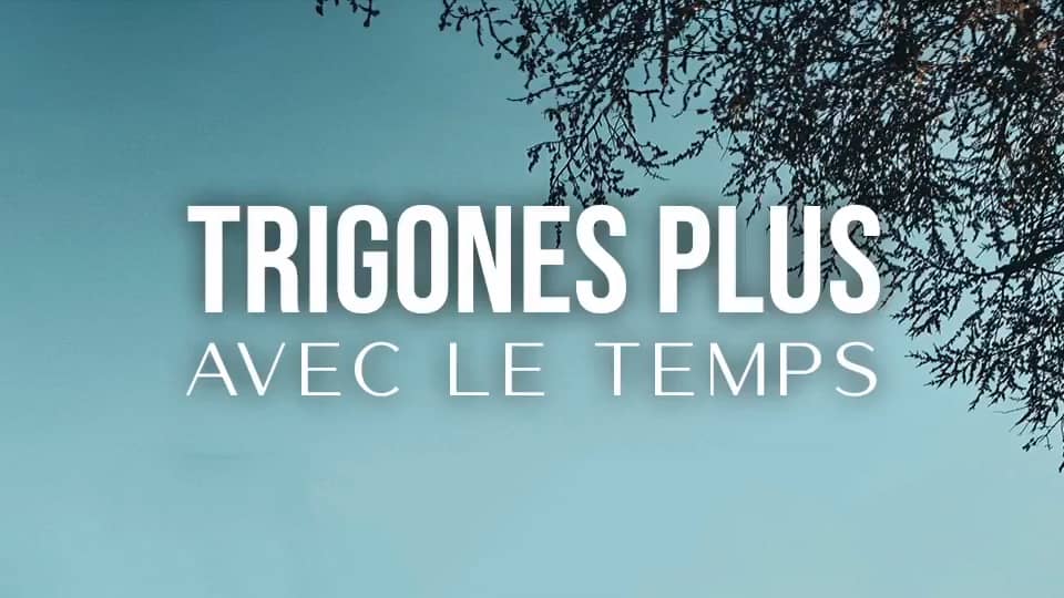 Trigones Plus : Avec le Temps (Léo Ferré) [CLIP]