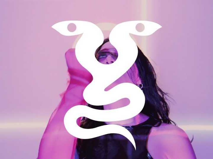 Clip : Venin Carmin – Pietrosella (Dogs hold the light)