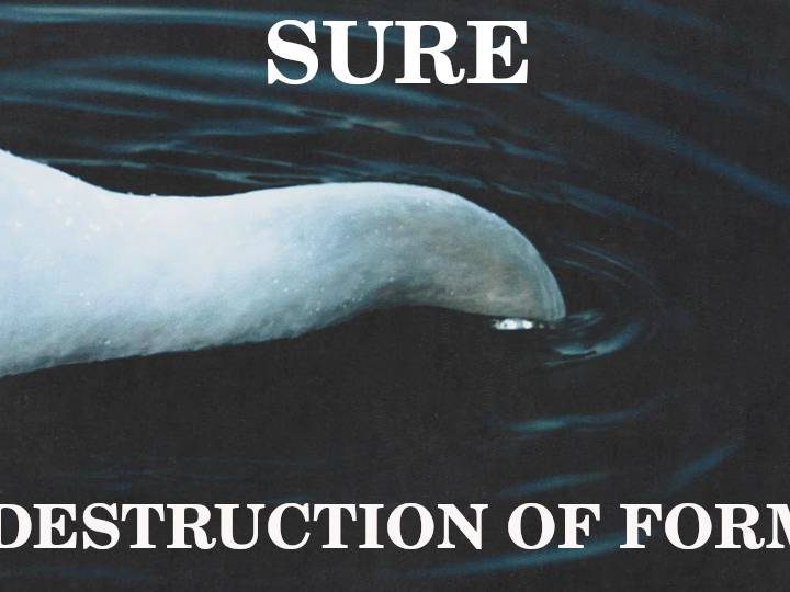 Album : Sure – Destruction of Form